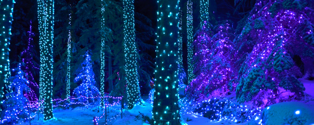 Gardens Aglow Trees - Things You Need to Know About Gardens Aglow in Boothbay Harbor