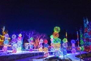 Gardens Aglow light display at the Coastal Maine Botanical Gardens