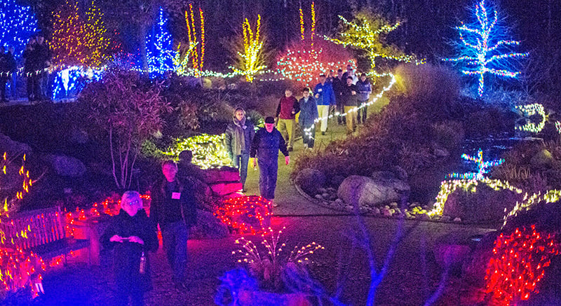 Gardens Aglow Maine light event - people walking through the light display winter