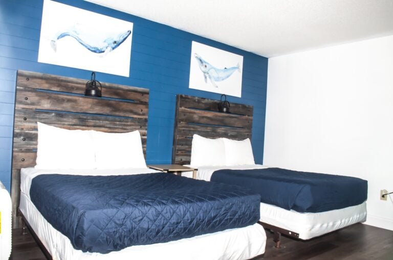 whatsapp image 2025 12 15 at 16.19.21 (1)