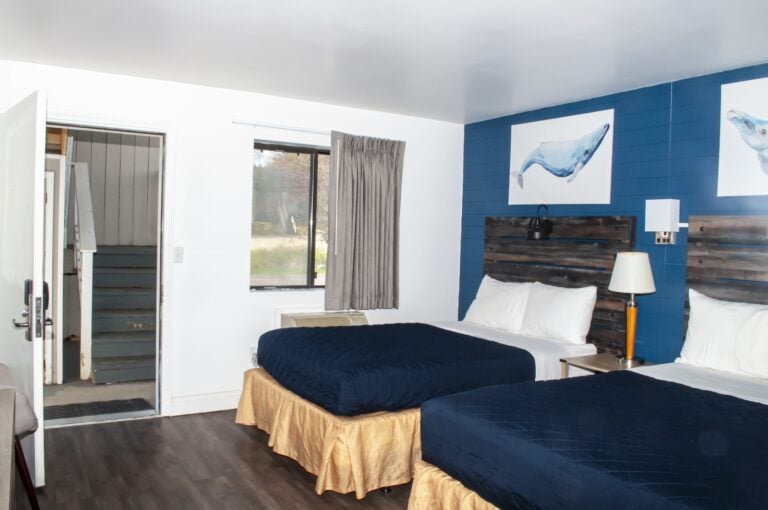 whatsapp image 2025 12 15 at 16.19.21 (2)